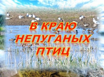 Сказки древнего Амура. Сказка шестая &quot;В краю непуганых птиц&quot;